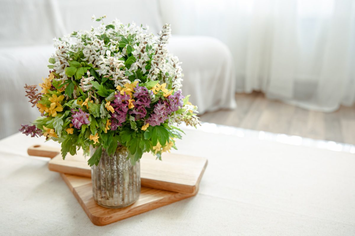 Wiosenne kwiaty w Twoim salonie – jakie wybrać?