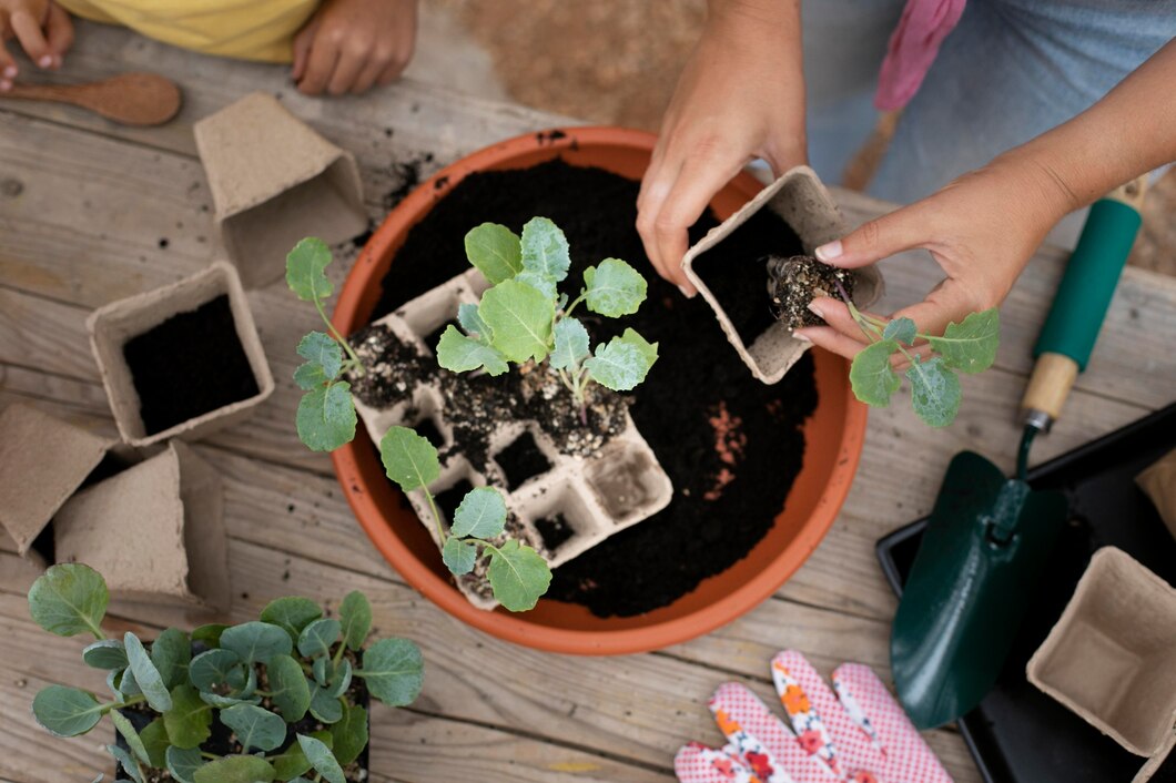 Tworzenie mini-ekosystemu: Przemyślane aranżacje roślin w ogrodzie