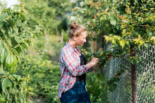 Poradnik do uprawy malin – praktyczne wskazówki i triki dla ogrodników